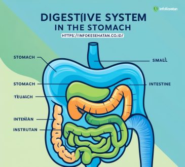 kesehatan pencernaan