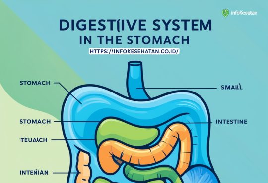 kesehatan pencernaan
