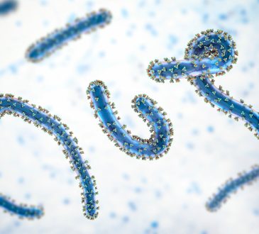 Marburg Virus: Kematian yang Mengintai dari Dalam Darah