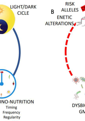 Chrononutrition: Rahasia Sehat dari Makan Sesuai Jam Biologis Tubuh