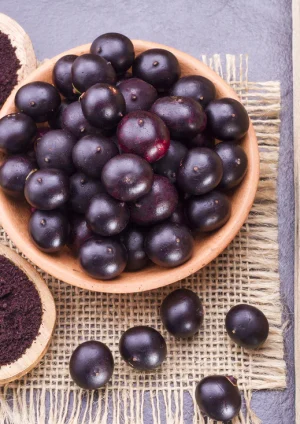 Buah Açaí: Superfood Ungu dari Jantung Hutan Amazon yang Menyimpan Keajaiban Kesehatan